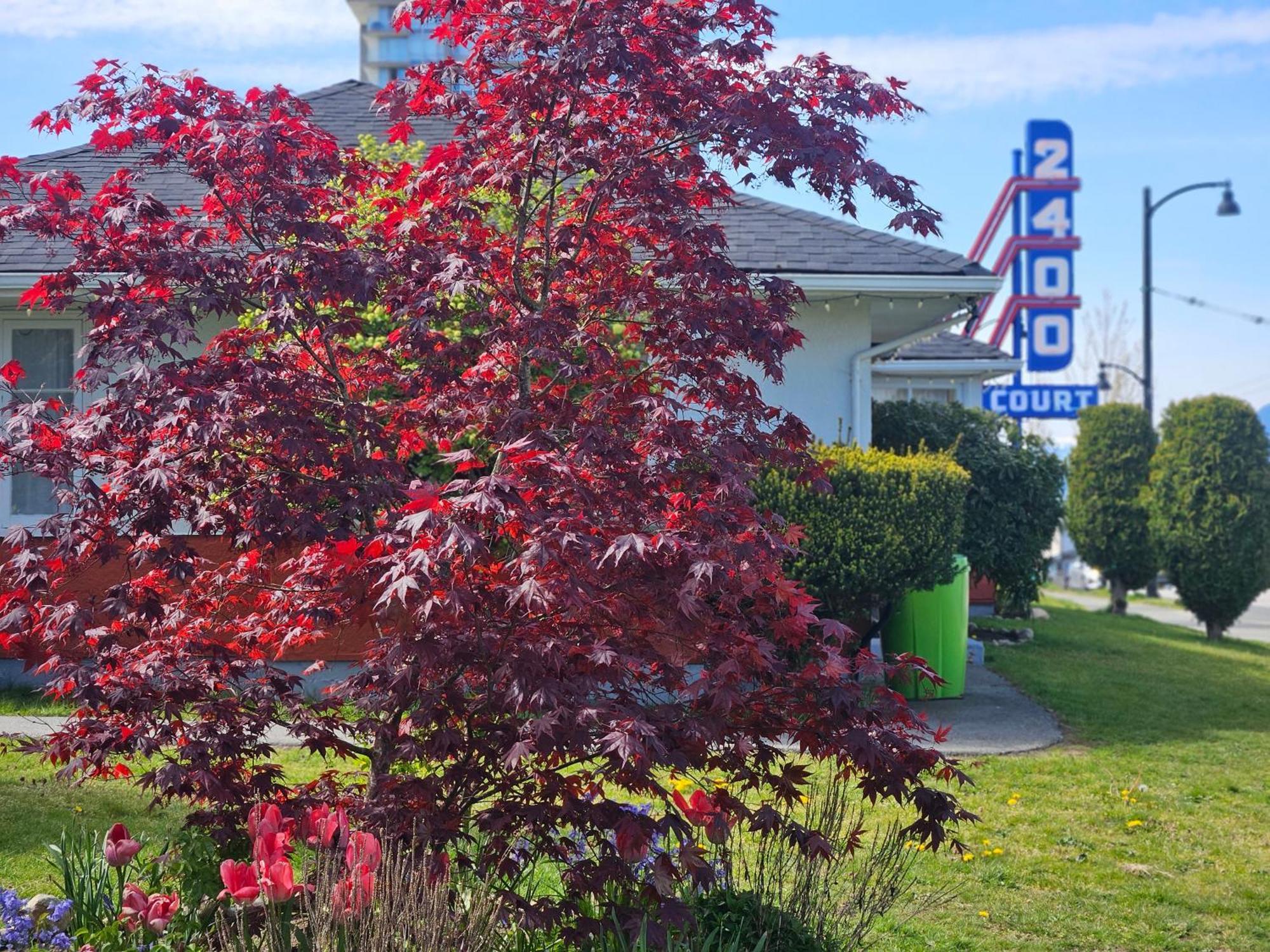 2400 Motel Vancouver Exteriér fotografie